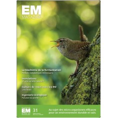 EM Magazine n°31 (NL)