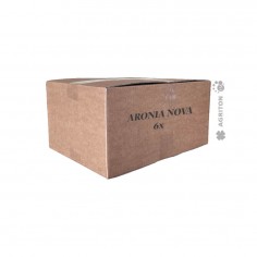 Aronia Nova 2