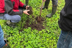 Interview avec Tuur Vandeweyer : l’élevage bovin et l’agriculture arable